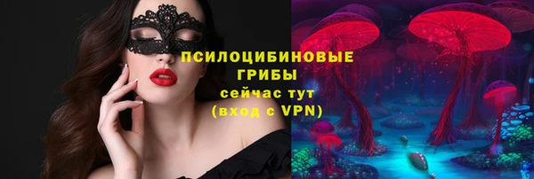 2c-b Богородицк