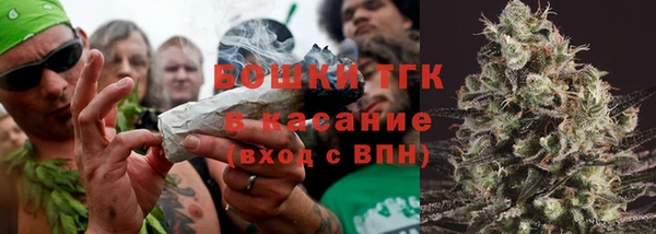 молекула духа Белокуриха