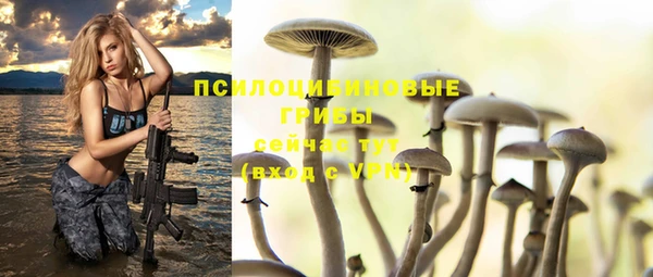 2c-b Богородицк