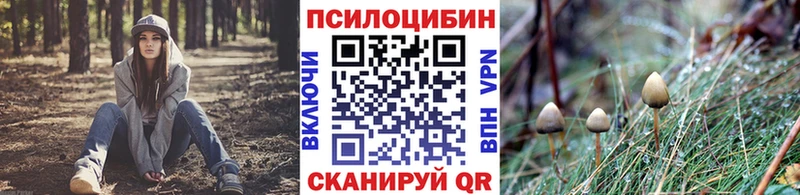 Псилоцибиновые грибы мицелий  купить наркотики цена  Константиновск 